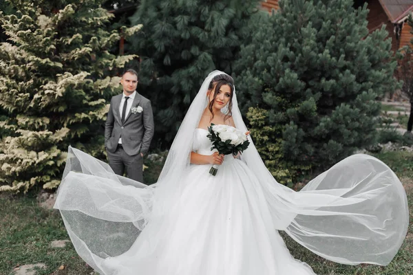 Eine Lockige Brünette Braut Weißem Kleid Und Schleier Schön Der — Stockfoto