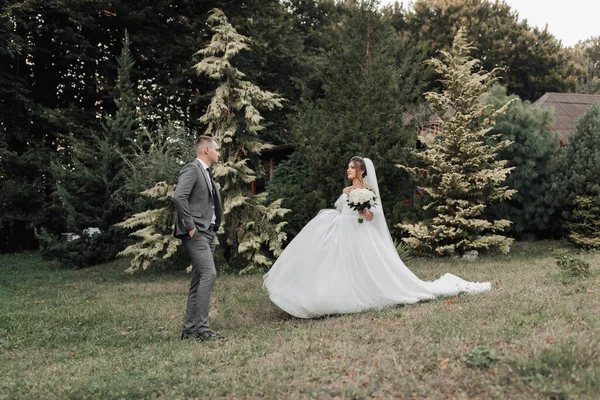 Menyasszony Vőlegény Arcképe Természetben Egy Barna Menyasszony Fehér Hosszú Ruhában — Stock Fotó