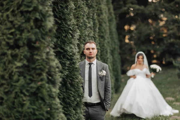 Porträt Des Brautpaares Der Natur Der Bräutigam Grauen Anzug Steht — Stockfoto