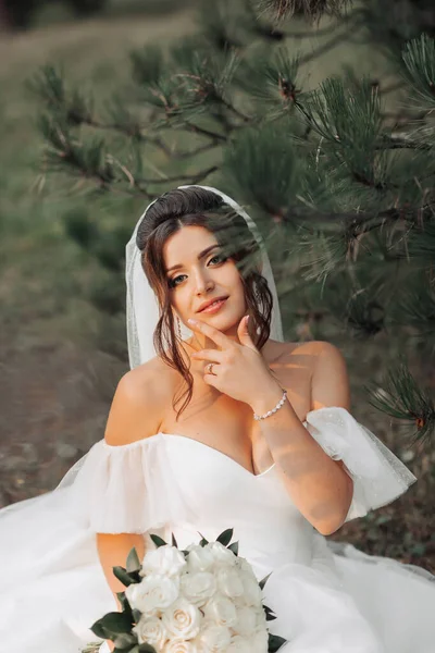 Retrato Noiva Natureza Uma Noiva Morena Vestido Volumoso Branco Está — Fotografia de Stock