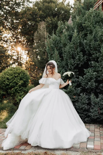 Portrait Bride Nature Brunette Bride Voluminous Dress Veil Standing Posing — Stock Photo, Image