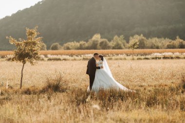 Düğün fotoğrafı. Gelin ve damat ağaçların ve büyük dağların arka planında bir tarlada duruyorlar. Işık anahtarında fotoğraf. Birbirine aşık bir çift. Şık damat