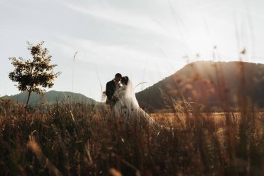 Düğün fotoğrafı. Gelin ve damat ağaçların ve büyük dağların arka planında bir tarlada duruyorlar. Işık anahtarında fotoğraf. Birbirine aşık bir çift. Şık damat