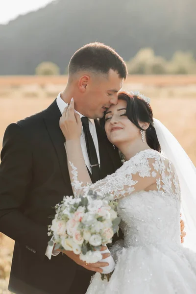 Esküvői Fotó Természetben Fekete Öltönyös Vőlegény Menyasszony Egy Mezőn Állnak — Stock Fotó