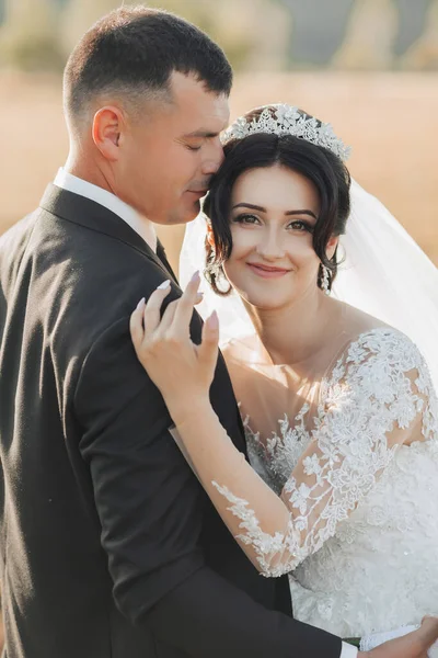 Esküvői Fotó Természetben Fekete Öltönyös Vőlegény Menyasszony Egy Mezőn Állnak — Stock Fotó