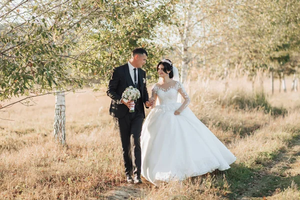 Bröllopsfoto Naturen Brudgummen Svart Kostym Och Bruden Vit Klänning Med — Stockfoto