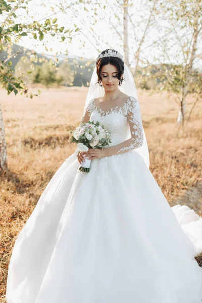 Noiva Vestido Branco Volumoso Longo Véu Fica Fundo Campo Com — Fotografia de Stock