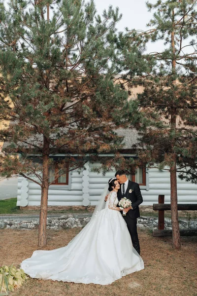 大自然中的婚礼肖像 身穿白色长裙的黑发新娘和新郎手牵手站在针叶树和一座白色小屋的背景下 时髦的新郎 美丽的头发和妆容 — 图库照片