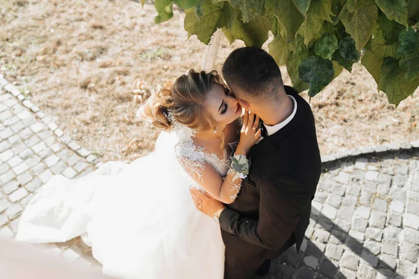 Ritratto Matrimonio Sposo Vestito Nero Sposa Bionda Vestito Bianco Con — Foto Stock