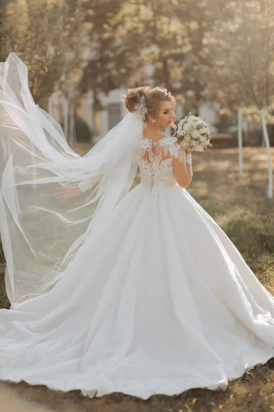 Retrato Casamento Uma Noiva Loira Vestido Branco Com Trem Mangas — Fotografia de Stock