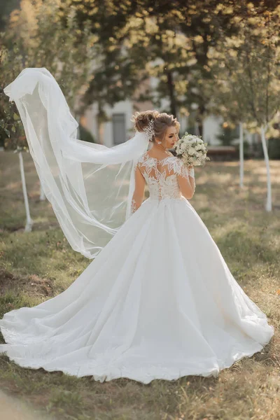 Hochzeitsporträt Eine Blonde Braut Weißen Kleid Mit Schleppe Und Spitzenärmeln — Stockfoto