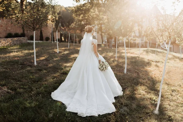Retrato Casamento Uma Noiva Loira Vestido Branco Com Trem Mangas — Fotografia de Stock