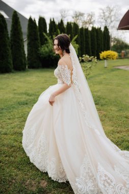 Düğün portresi. Dantel peçeli esmer bir gelin ve dantel kollu beyaz bir elbise ağaçların yanında yürüyor. Doğada fotoğraf çekimi. güneş ışınları