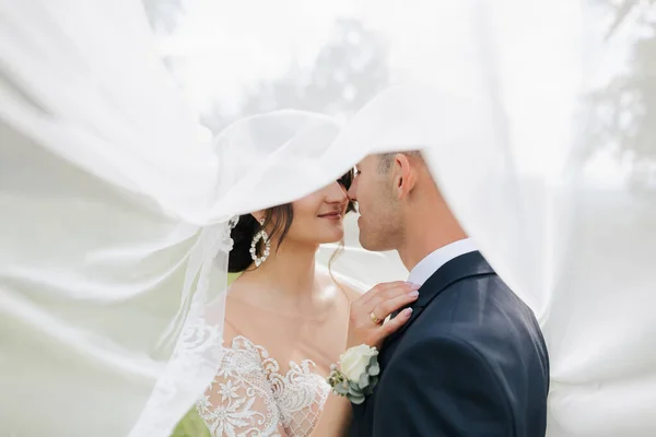 白いドレスを着た巻き毛のブルネットの花嫁とベールの新郎が抱擁し キスをします 花嫁と新郎の肖像画 美しいメイクや髪 自然界の結婚式 — ストック写真