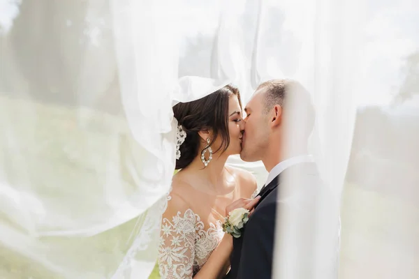 一个卷曲头发的黑发新娘 身穿白衣 戴着面纱的新郎拥抱和亲吻 新娘和新郎的画像 漂亮的妆容和头发1 自然结婚 — 图库照片