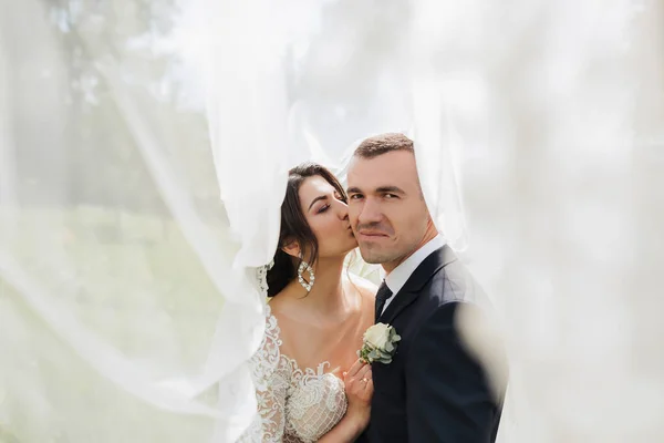 드레스를 곱슬머리의 머리의 신부와 베일을 키스를 신부의 아름다운 머리카락 결혼식 — 스톡 사진