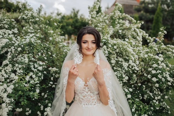 Wedding portrait. A brunette bride in a lace veil and a white dress with lace sleeves poses near a blooming tree. Photo session in nature. sun rays