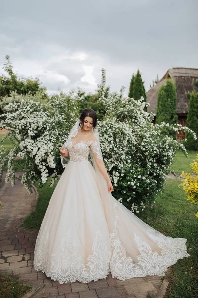 Hochzeitsporträt Eine Brünette Braut Einem Spitzenschleier Und Einem Weißen Kleid — Stockfoto