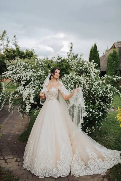 結婚式の肖像画 レースベールにブルネットの花嫁と花の木の近くにレーススリーブ付きの白いドレスがあります 自然の中での撮影会 太陽光線 — ストック写真