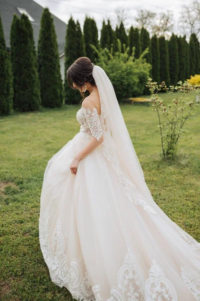 Wedding Portrait Brunette Bride Lace Veil White Dress Lace Sleeves — Stock Photo, Image