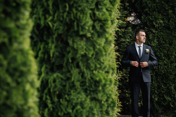 一个穿着黑色西服的男人在自然中摆姿势 靠近针叶树 一个时髦的手表 男人的风格 — 图库照片