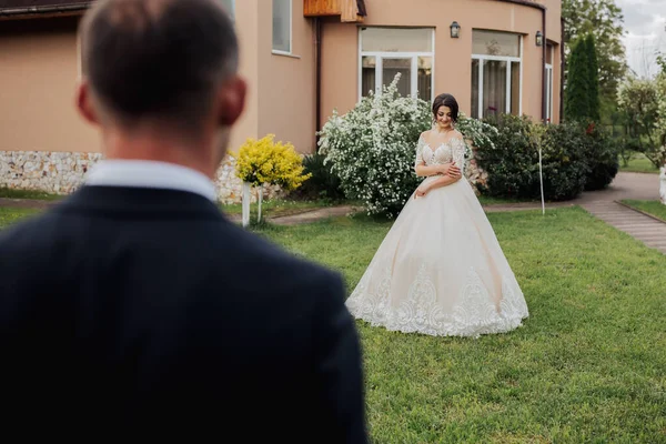 Bröllopsporträtt Bruden Och Brudgummen Naturen Stilren Brudgum Står Bakom Bruden — Stockfoto