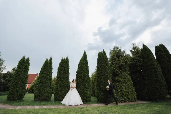 본질적으로 신부의 모습이다 레이스 신부와 신랑은 의나무 근처에서 껴안고 포즈를 — 스톡 사진