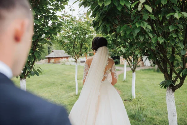 Gelin Damadın Doğadaki Düğün Portresi Şık Bir Damat Gelinin Arkasında — Stok fotoğraf