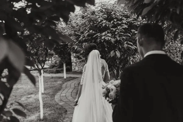 Esküvői Portré Menyasszony Vőlegény Természetben Fekete Fehér Fotó Egy Elegáns — Stock Fotó