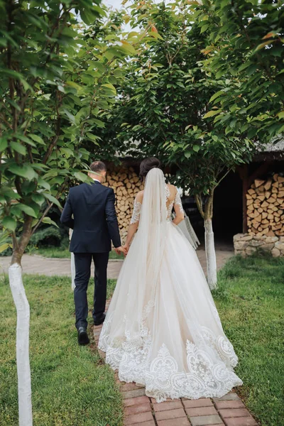 新娘和新郎在自然界中的画像 一个穿着花边长裙的时髦新娘和新郎手牵着手走进花园 恋爱中的夫妻 — 图库照片