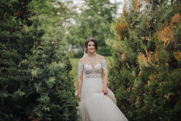 結婚式の肖像画 レースのベールにブルネットの花嫁とレーススリーブの白いドレスは木の近くを歩く 自然の中での撮影会 太陽光線 — ストック写真
