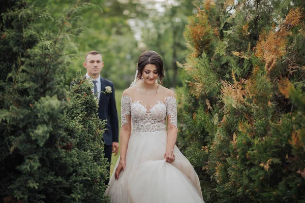 新娘和新郎在自然界中的婚礼肖像 一个时髦的新郎站在新娘身后 在树林旁边的花园里 漂亮的蕾丝纱和蕾丝裙 假日概念 — 图库照片