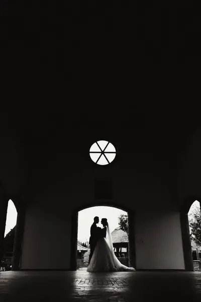 Porträt Der Braut Der Natur Silhouette Schwarz Weiß Foto Eine — Stockfoto