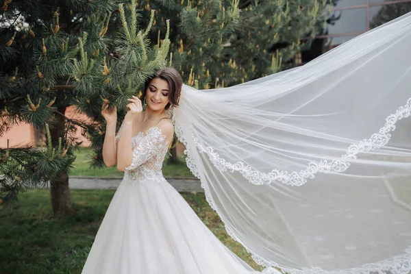 결혼식 초상화 레이스 베일을 레이스 소매가 드레스를 갈색의 신부는 침엽수 — 스톡 사진