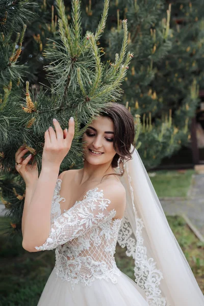 結婚式の肖像画 レースベールにブルネットの花嫁とレーススリーブ付きの白いドレスは針葉樹の木の近くにポーズをとります 花嫁の肩を開いてください 自然の中での撮影会 — ストック写真