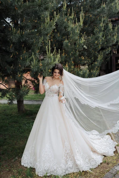 結婚式の肖像画 レースベールにブルネットの花嫁とレーススリーブ付きの白いドレスは針葉樹の木の近くにポーズをとります ベールは空気中にあります 花嫁の肩を開いてください 自然の中での撮影会 — ストック写真
