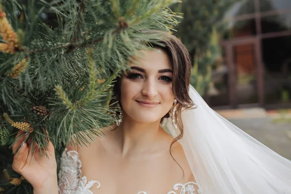 Retrato Casamento Uma Noiva Morena Véu Renda Vestido Branco Com — Fotografia de Stock