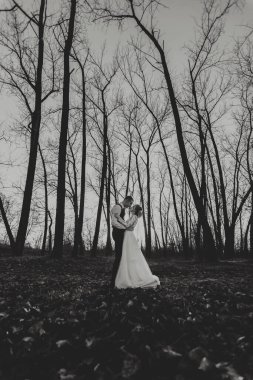 Düğün fotoğrafı. Gelin ve damat ormanda yürüyorlar. Damat sevgilisinin omuzlarına sarılır. Uzun gelinlik. Uzun ağaçların arasında birbirine aşık bir çift. Sonbahar güneş ışığı. siyah beyaz fotoğraf