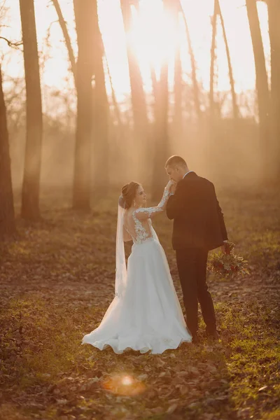 Esküvői Fotó Menyasszony Vőlegény Erdőben Sétálnak Vőlegény Csokrot Tart Megcsókolja — Stock Fotó