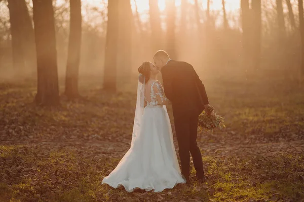 Esküvői Fotó Menyasszony Vőlegény Erdőben Sétálnak Vőlegény Csokrot Tart Megcsókolja — Stock Fotó