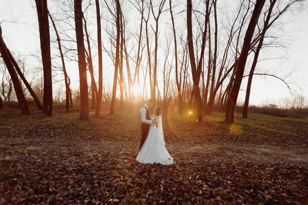 Весільна Фотографія Наречений Наречений Ходять Лісі Наречений Обіймає Плечі Своєї — стокове фото