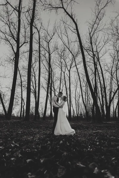 Φωτογραφία Γάμου Νύφη Και Γαμπρός Περπατούν Στο Δάσος Γαμπρός Αγκαλιάζει — Φωτογραφία Αρχείου