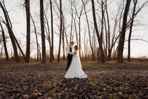 Esküvői Fotó Menyasszony Vőlegény Erdőben Sétálnak Vőlegény Megöleli Szerelme Vállát — Stock Fotó