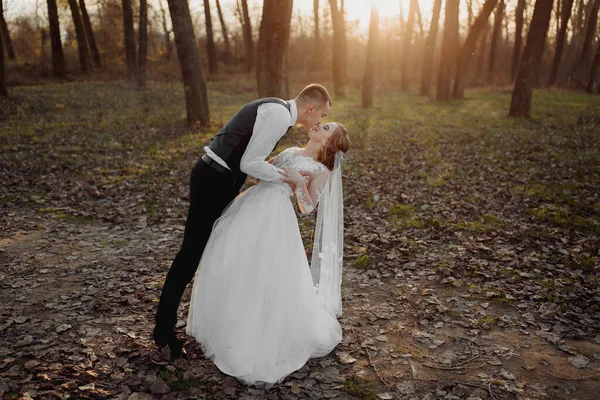 Esküvői Fotó Menyasszony Vőlegény Erdőben Sétálnak Vőlegény Vállon Öleli Szerelmét — Stock Fotó