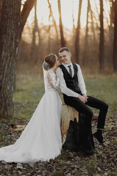 Esküvői Fotó Természetben Vőlegény Egy Faállványon Menyasszony Mellette Áll Vállára — Stock Fotó
