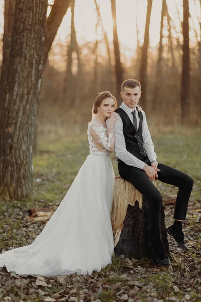 Bröllopsfoto Naturen Brudgummen Sitter Ett Trästånd Bruden Står Bredvid Honom — Stockfoto