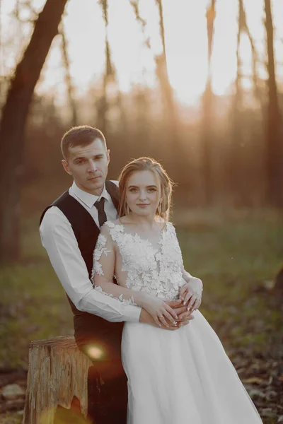 Doğada Düğün Fotoğrafı Damat Ahşap Bir Stantta Oturur Gelin Onun — Stok fotoğraf