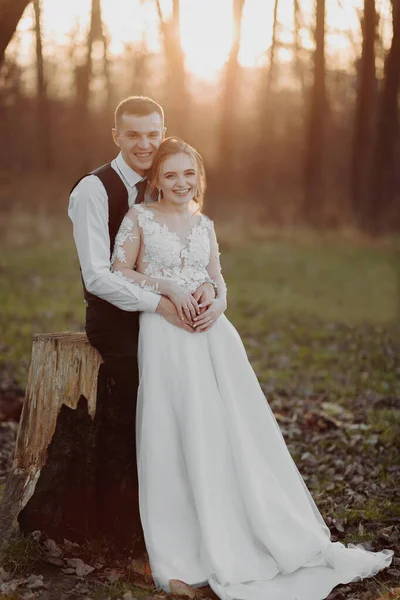 Esküvői Fotó Természetben Vőlegény Egy Faállványon Menyasszony Mellette Áll Vállára — Stock Fotó