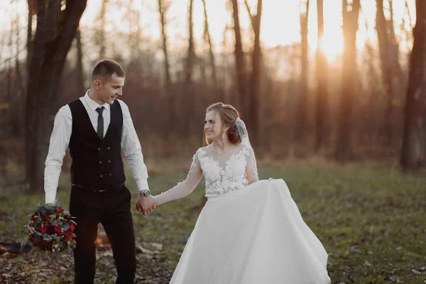 Hochzeitsfoto Das Brautpaar Geht Wald Spazieren Der Bräutigam Hält Die — Stockfoto