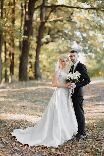 自然の中で新郎新婦の肖像画 フルサイズの写真 秋の森を背景に 花嫁と新郎がポーズをとって 抱き合って笑っています 長いドレスを着た花嫁 — ストック写真